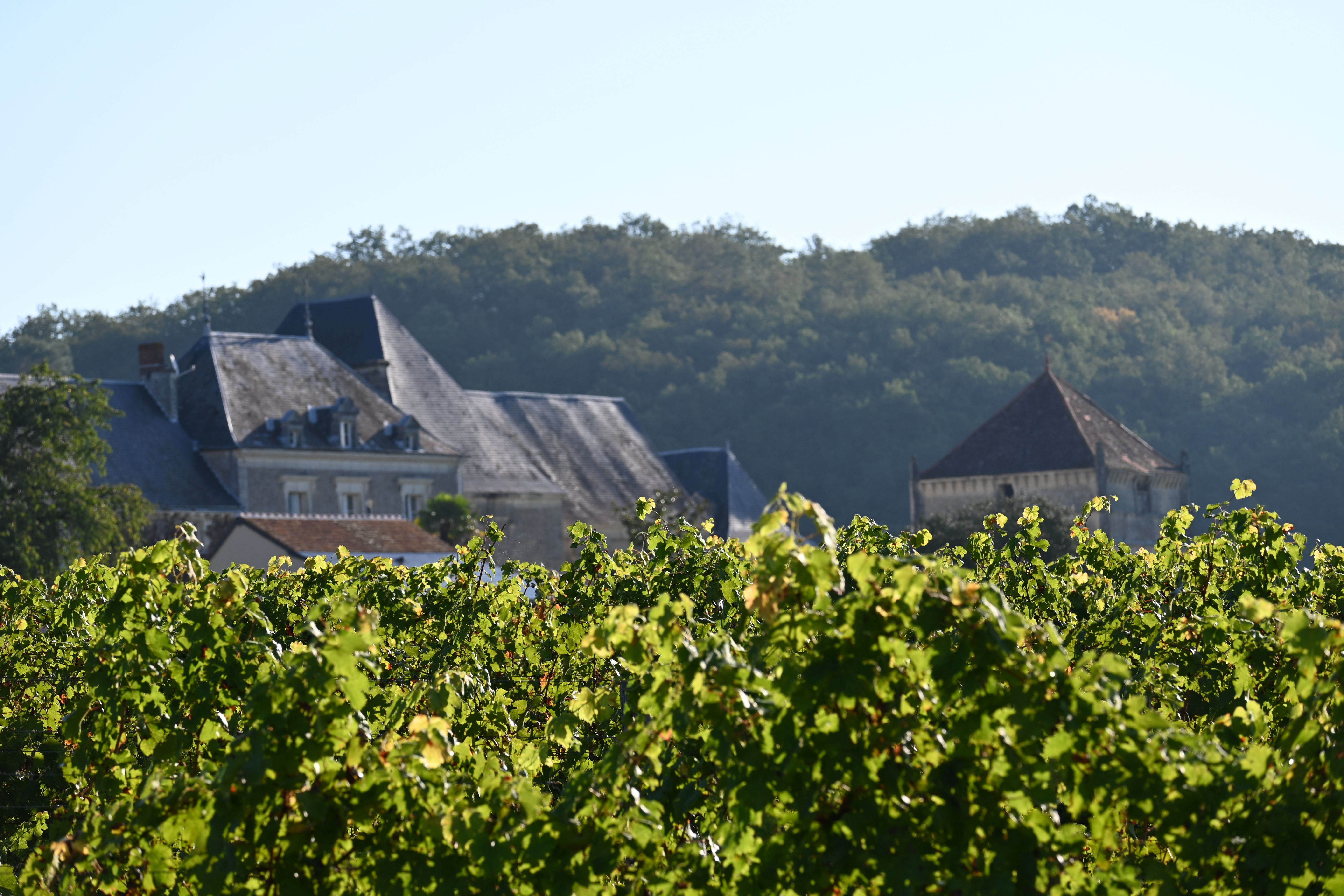 Domaine Grosbois