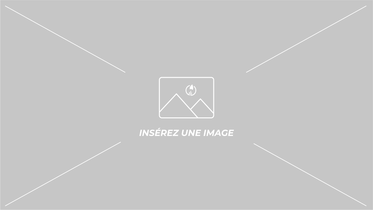 ACCOMPAGNEMENT - DEVELOPPEMENT - CREATION - CONSEILS